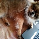 ���� ���������, ��������, 39 ��� - ��������� 21 ������ 2016 � ������ �������))�