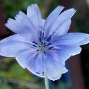 ���� 2016 �� ������� �� ��� - ��������!!!)))�