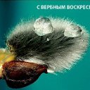 ���� �����, ���������, 52 ���� - ��������� 24 ������ 2016 � ������ ������ ��������