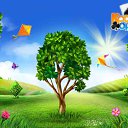 ���� �������, ������� - ��������� 18 ��� 2016