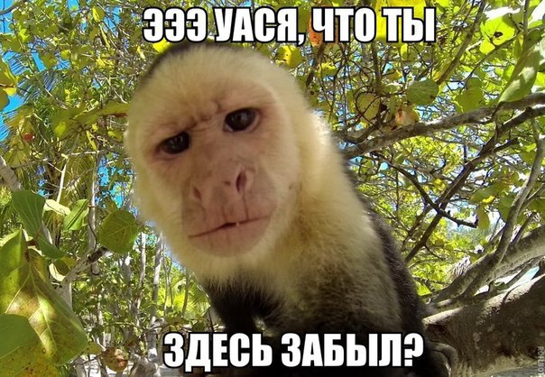    :D - 26  2016  17:06