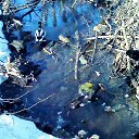 ���� ������, ������, 59 ��� - ��������� 29 ����� 2016