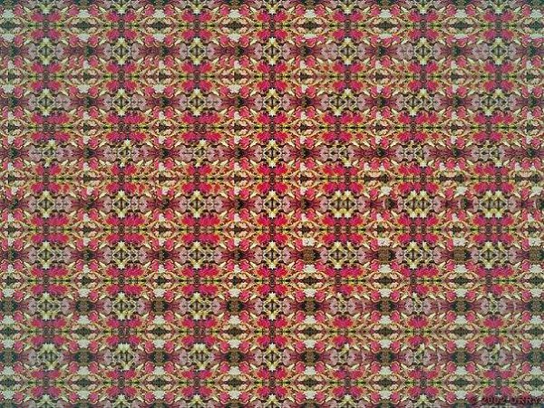 �������������� ������� ��������� �����.�������������� ������������ ����� ������������� �������, ... - 6