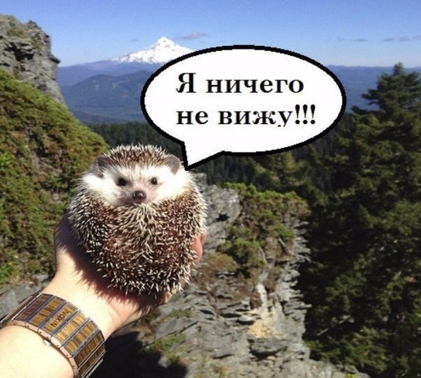    - 3