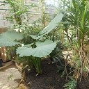 ���� ������, ������, 66 ��� - ��������� 12 ������ 2016 � ������ ������������� ���