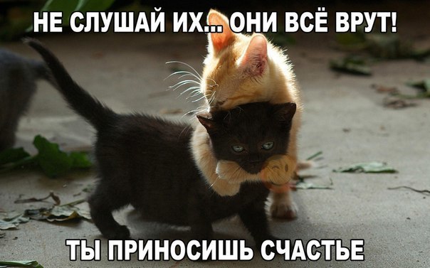   .,    ! <a href=