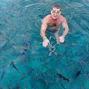 ���� ����� �������, �����, 51 ��� - ��������� 31 ������� 2016