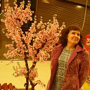 ���� ������, ������� - ��������� 7 ������ 2016 � ������ ���� ����������