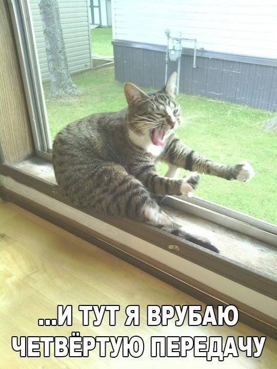 Sergey - 29  2016  18:43