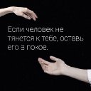 ���� �������, �������, 52 ���� - ��������� 6 ���� 2016 � ������ ������ ��������