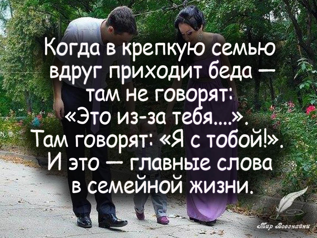 Высказывания о семье картинки