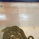 ���� ������, ������, 51 ��� - ��������� 25 ������ 2016 � ������ �����������-11�