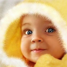 ���� �� ��������������� ��� �1, �����, 60 ���