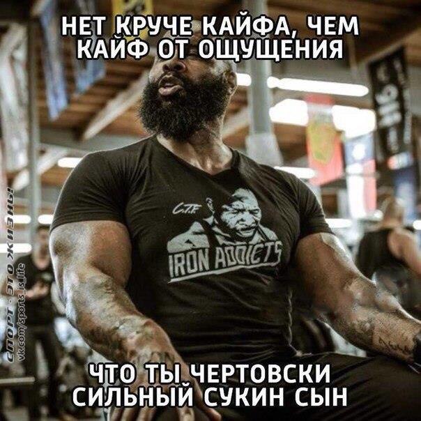 -   - 7  2016  00:33