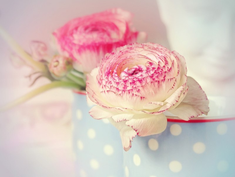 ,   ! - , ?... ... -  ,     -  ... - 2