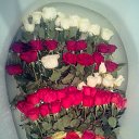 ���� ���, ������ - ��������� 10 ���� 2016 � ������ ���� ����������