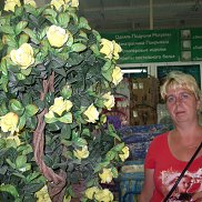 , 51 , 