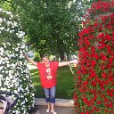  , --, 54  -  24  2016    