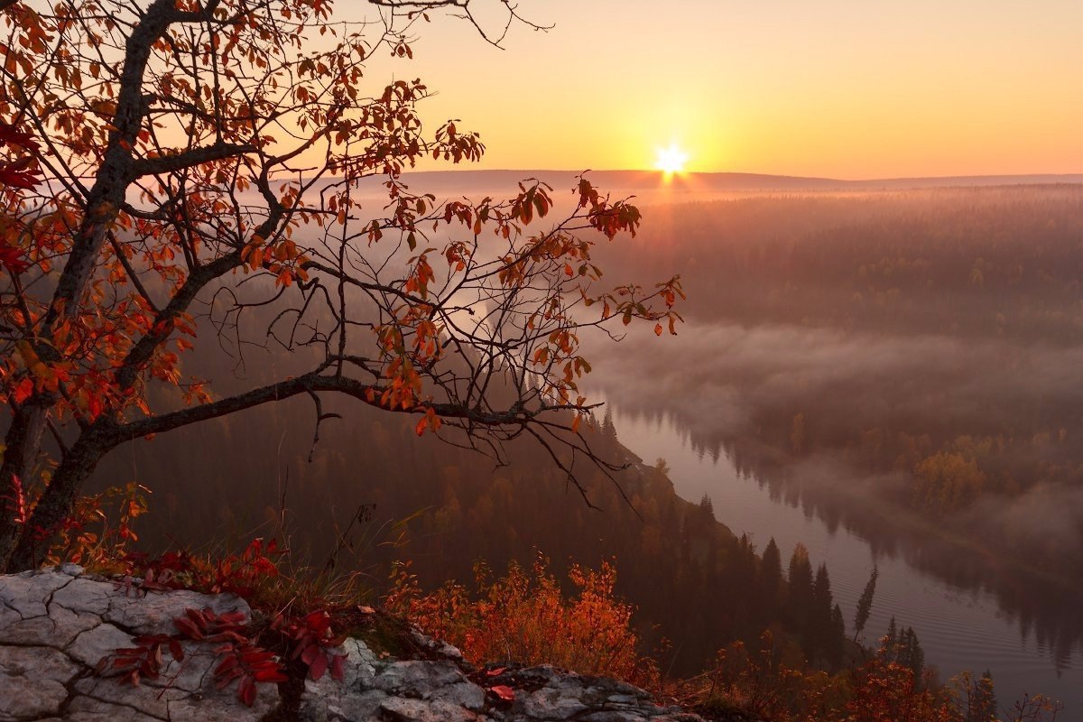 Рассвет в ноябре. Осенний закат в лесу. Красота поздней осени. Рассвет поздняя осень. Поздняя осень закат.