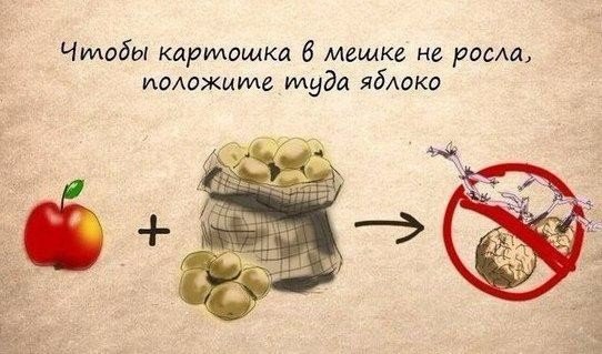 10 домашних хитростей на все случаи жизни - 3