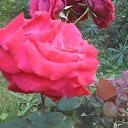 ���� �������, ������, 40 ��� - ��������� 18 ������� 2016 � ������ ���� ����������