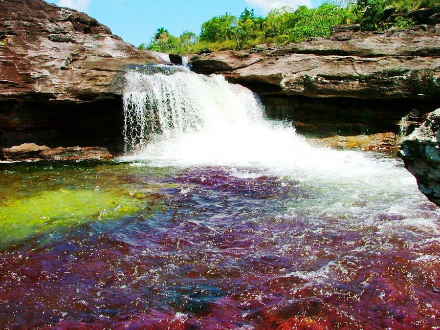   (Cao Cristales -  )    ,     ... - 3