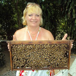 ���� �������, ������������, 61 ��� - ��������� 22 ���� 2016