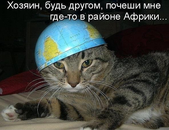  -  - 13  2016  21:30