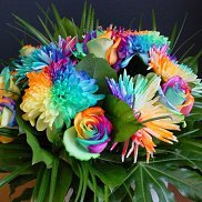 Dilyara, 49 ���, ���������