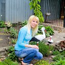 ���� �������, ���������, 40 ��� - ��������� 17 ������ 2016 � ������ ���� ����������