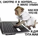���� (((((�))))), ���������, 53 ���� - ��������� 15 ����� 2016 � ������ ������ ��������