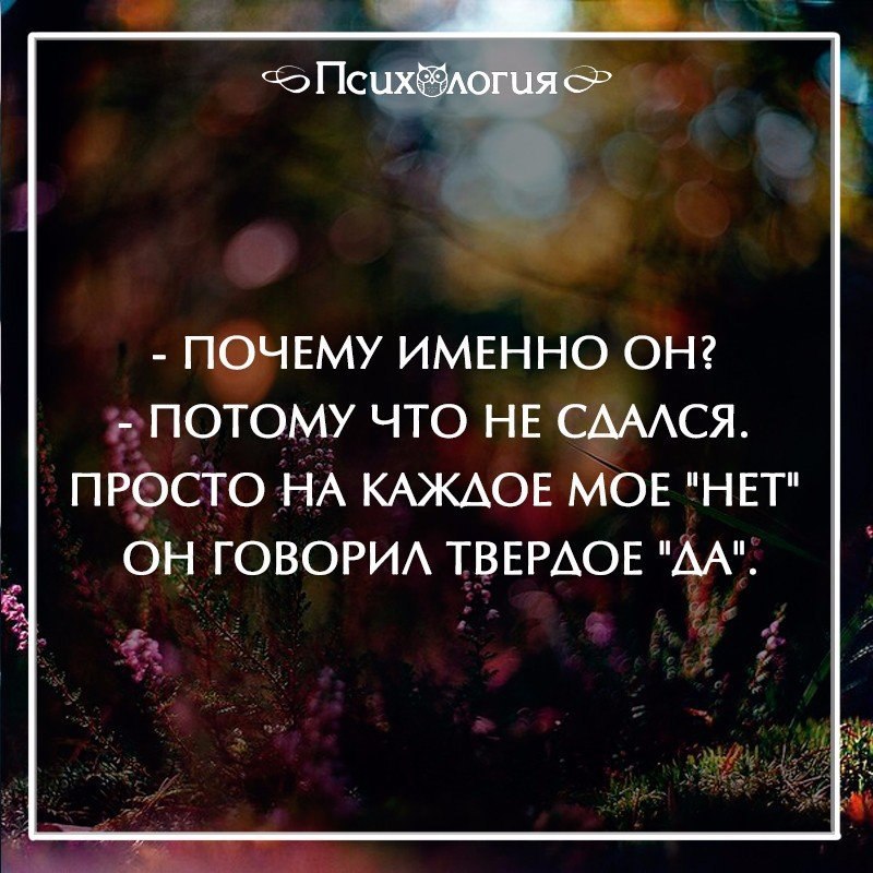  - 28  2016  08:39