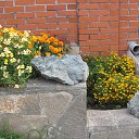 ���� �����, ������, 48 ��� - ��������� 14 ������� 2016 � ������ ��������