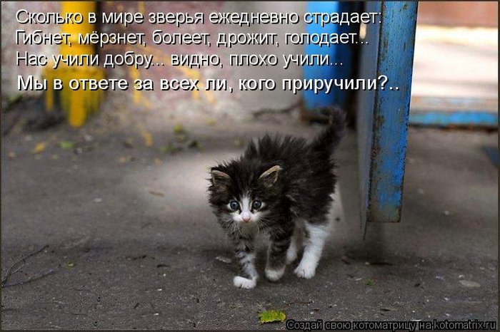 Добавляйтесь пожалуйста к нам прошу вас! спасибо.