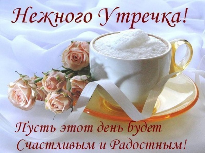  - 5  2016  06:11