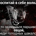 ���� �����, ��������, 40 ��� - ��������� 8 ������� 2016 � ������ ������ ��������