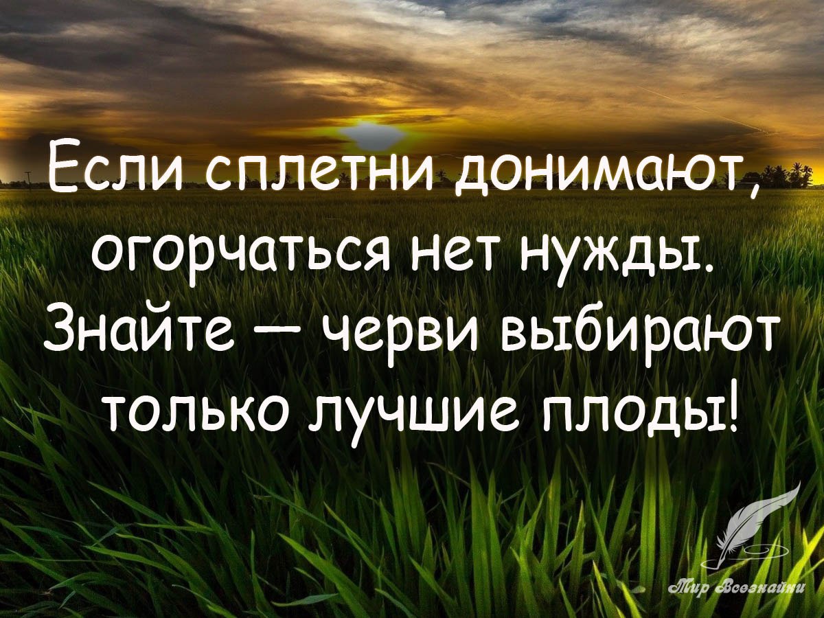        ,      - <a href=