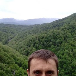 ���� �������, ����, 41 ��� - ��������� 7 ��� 2016