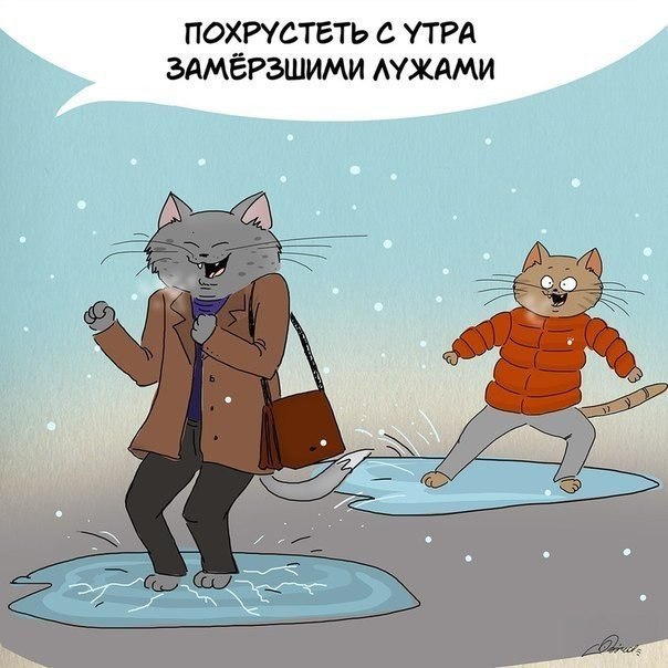      ... - 6