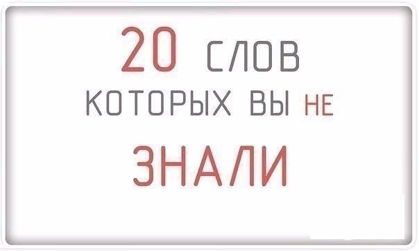 1. Мимикрия - подражание. 2. Колумелла - пространство между ноздрями. 3. Фраппировать – неприятно ...