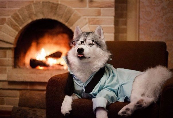 ,    .      ,   , ... - 10