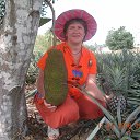 ���� �������, ����, 55 ��� - ��������� 14 ����� 2016 � ������ �������������