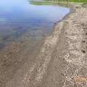 ����� ���� �� ������� ���������, ������ �����