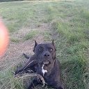 ���� ��������, ����� - ��������� 18 ���� 2016 � ������ ���� ����������