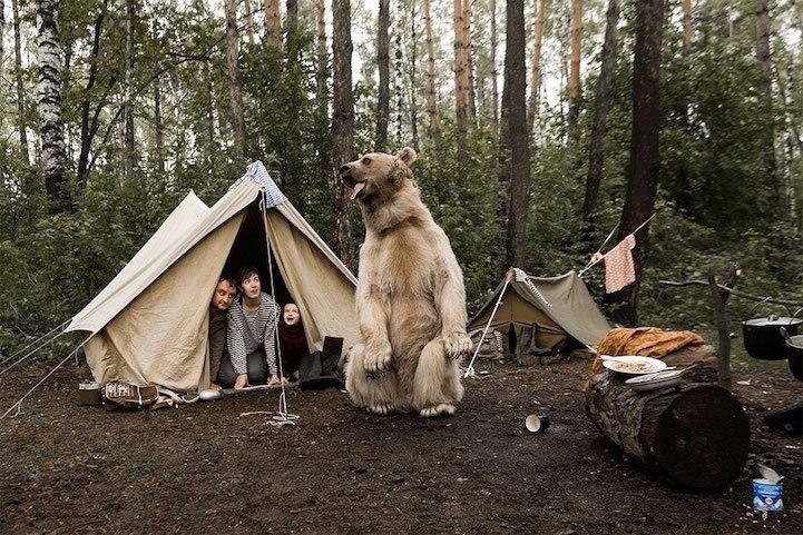      ,    .,  ... - 6