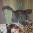 ���� ���������, �������, 57 ��� - ��������� 11 ����� 2016