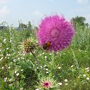 ���� �����, ���������, 56 ��� - ��������� 30 ���� 2016 � ������ ���� ����������