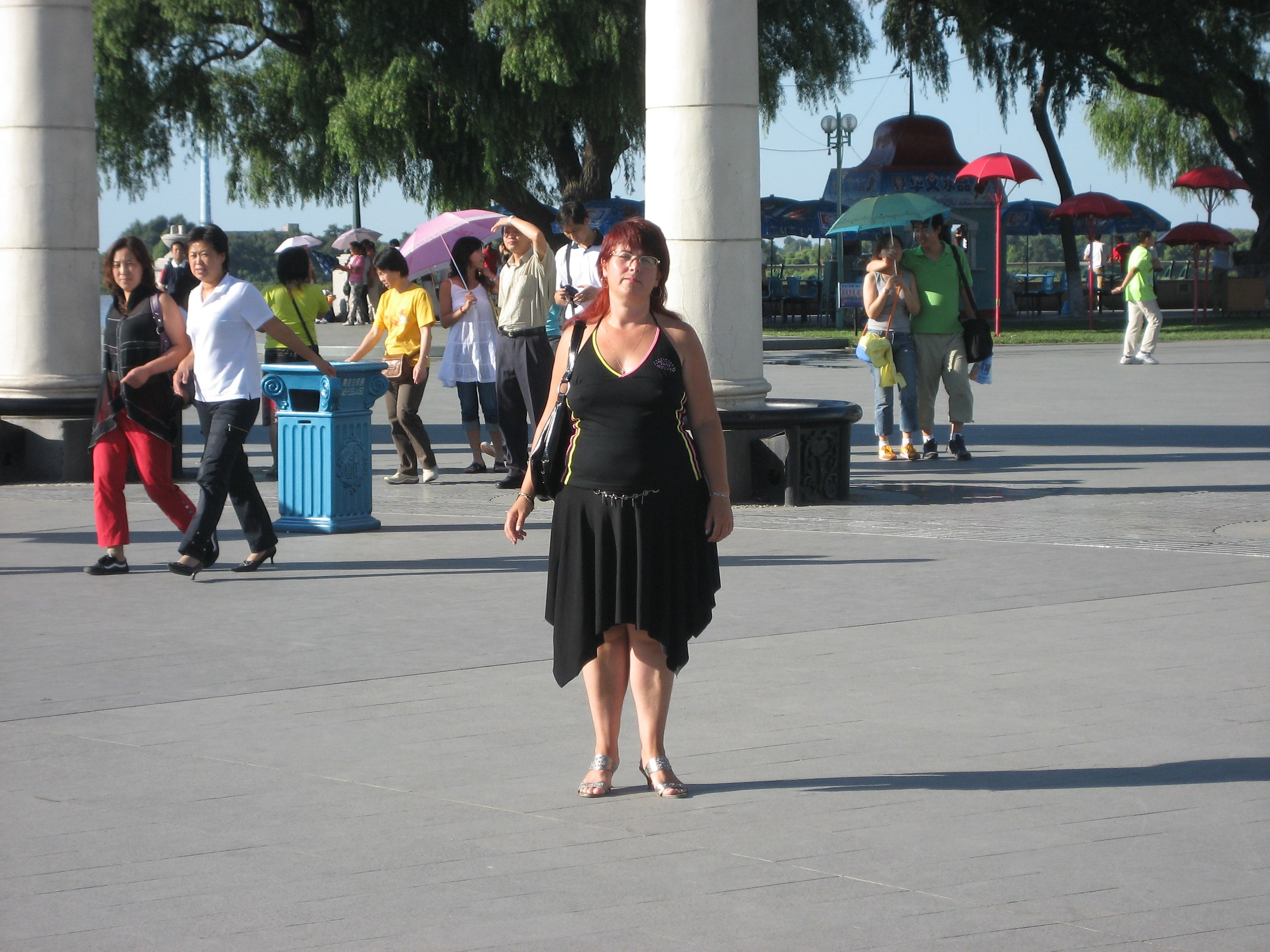          2006 . - 3