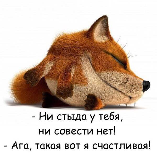  - 28  2016  23:44