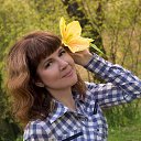 ���� �������, ���������, 43 ���� - ��������� 6 ���� 2016 � ������ ���� ����������